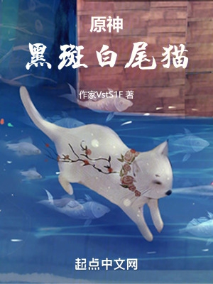 原神：黑斑白尾猫